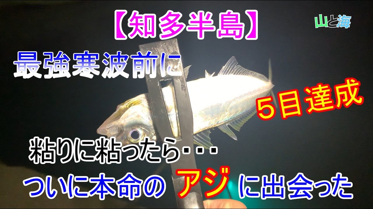 【知多半島アジ調査】【最強寒波前】アジの実績のある堤防でアジを狙って見た！果たして結果は！？1月中旬、愛知県、南知多町
