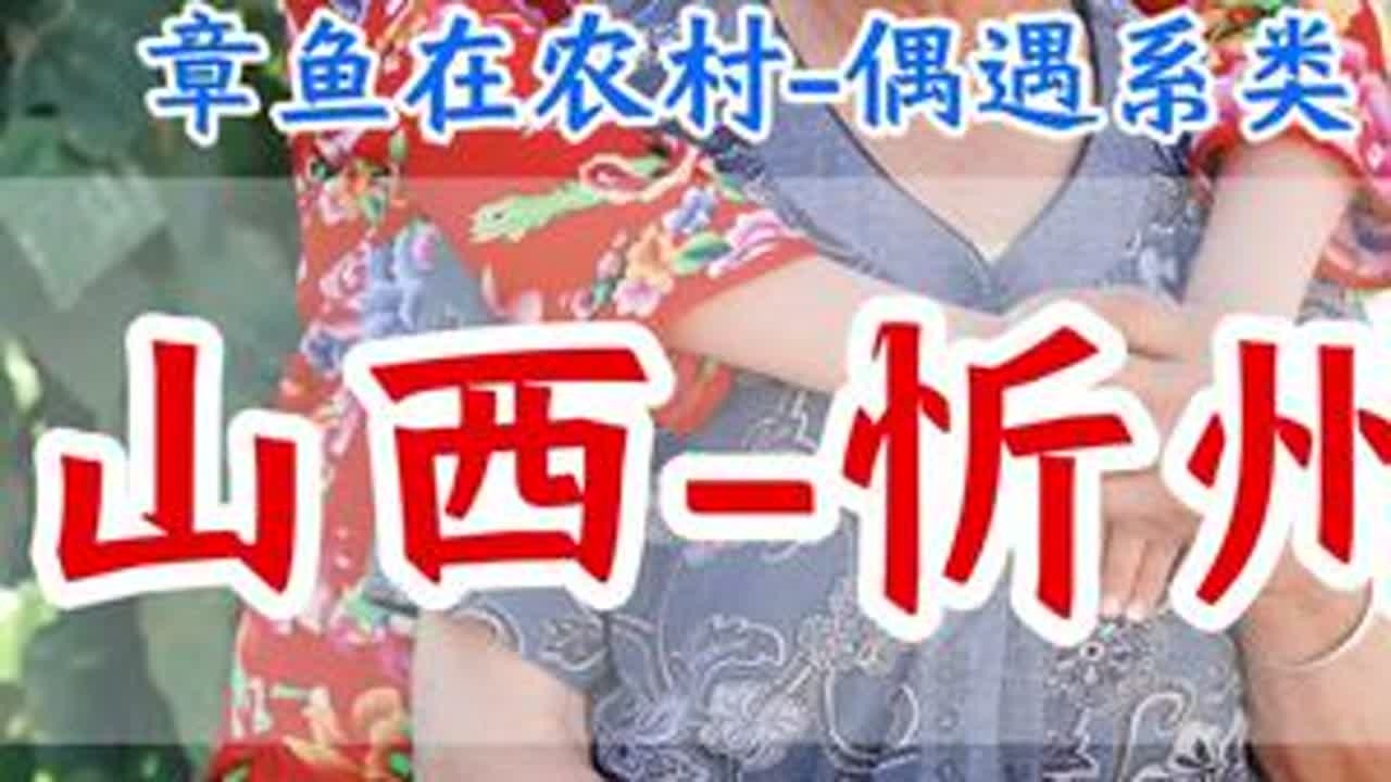 地址：山西省忻州市宁武县——阳方口找当地人了解明长城——第一期热情的老奶奶#乡村守护人 #正能量#山西