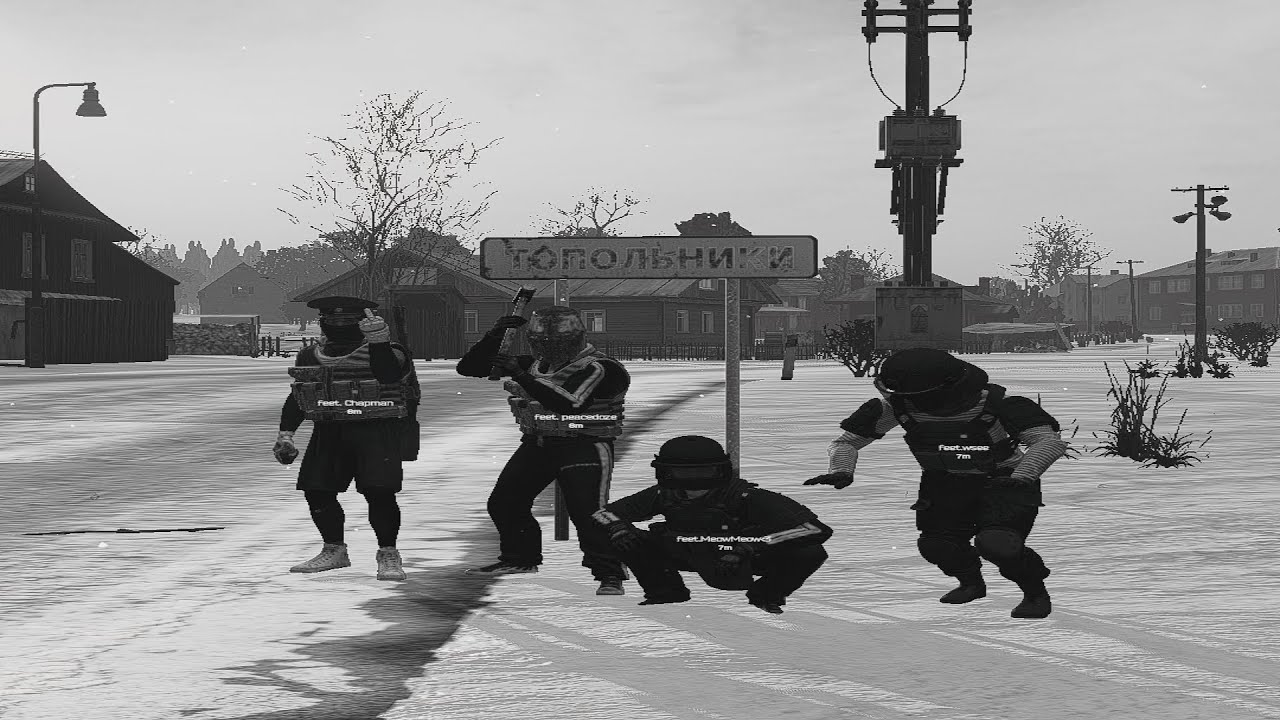 voskres iz musorki #headhunterz #dayz