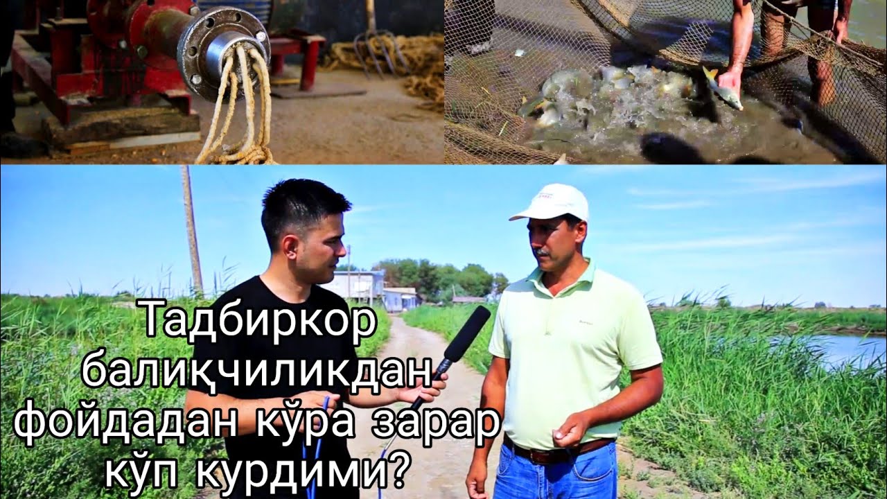 Бу тадбиркор фойдадан кўра зарари кўпми антиқа балиқ етиштириш фермаси