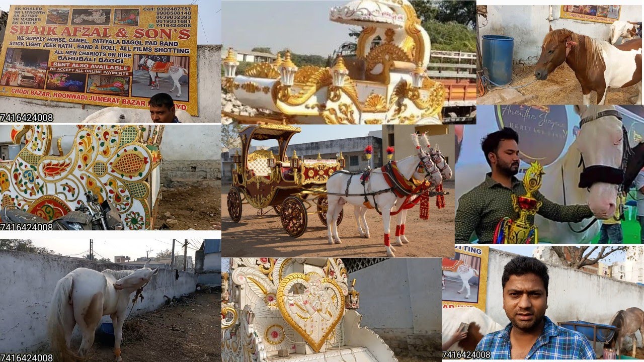 horse for rent or buggy necessary 🐎 shadi barad order booking on location churi bazar Hyd✨ #video