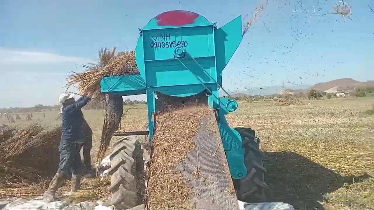 Hành trình đi tìm những nụ cười trên cánh đồng Xanh (Sesame )