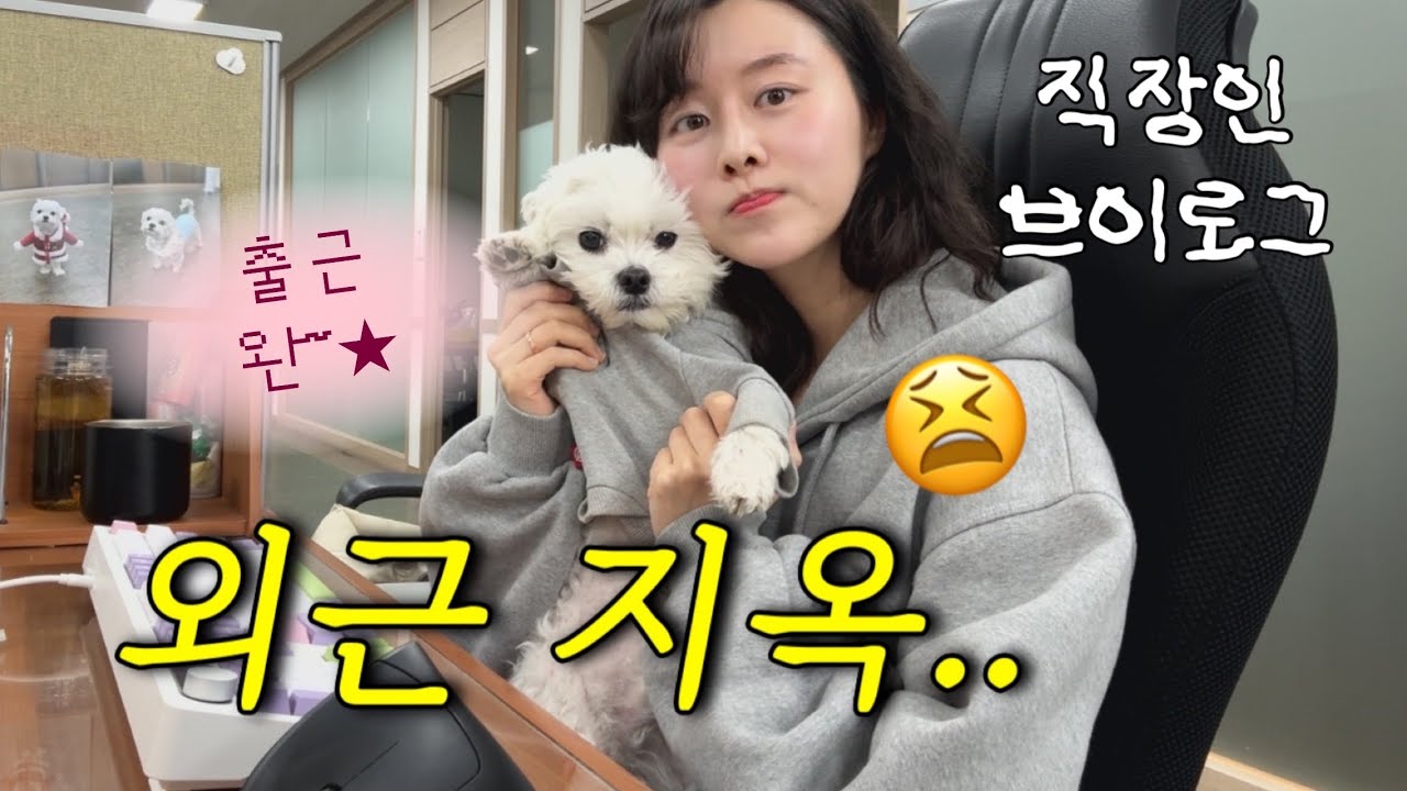 외근 빠지는 강아지 사원 | 강아지랑 출근하는 직장인 브이로그