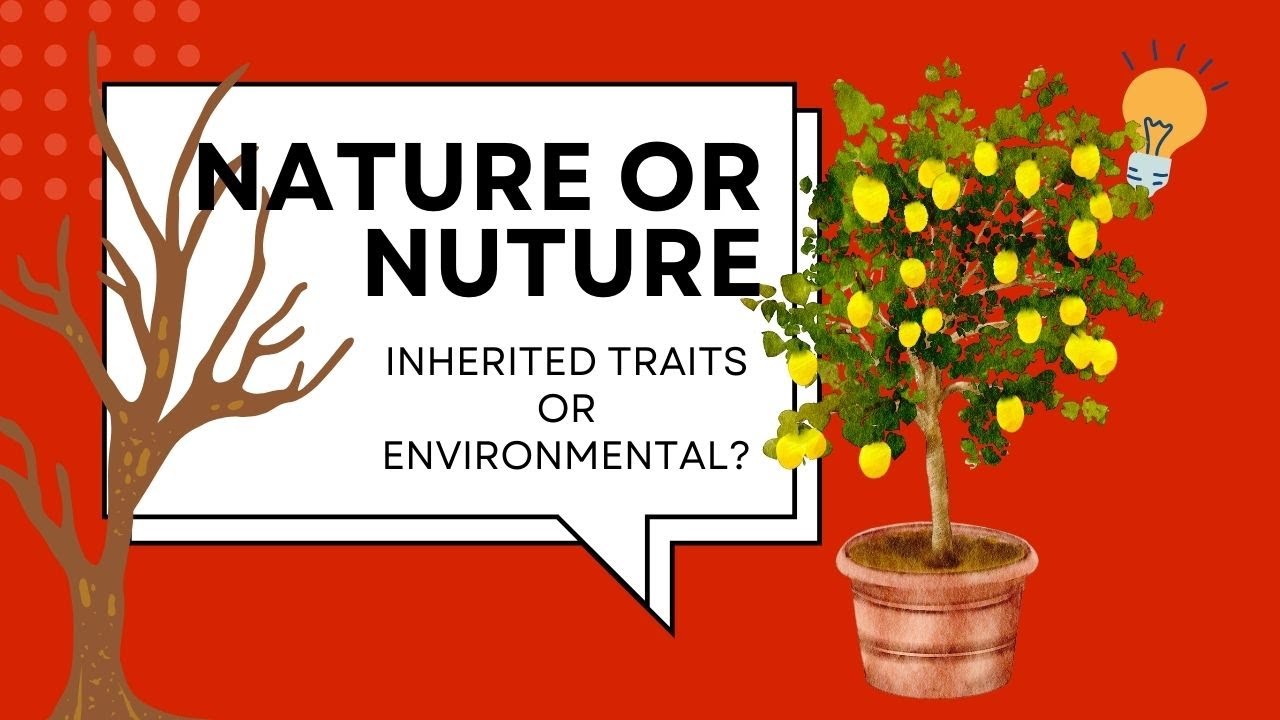 3rd Grade LS 3 2 - Environmental traits