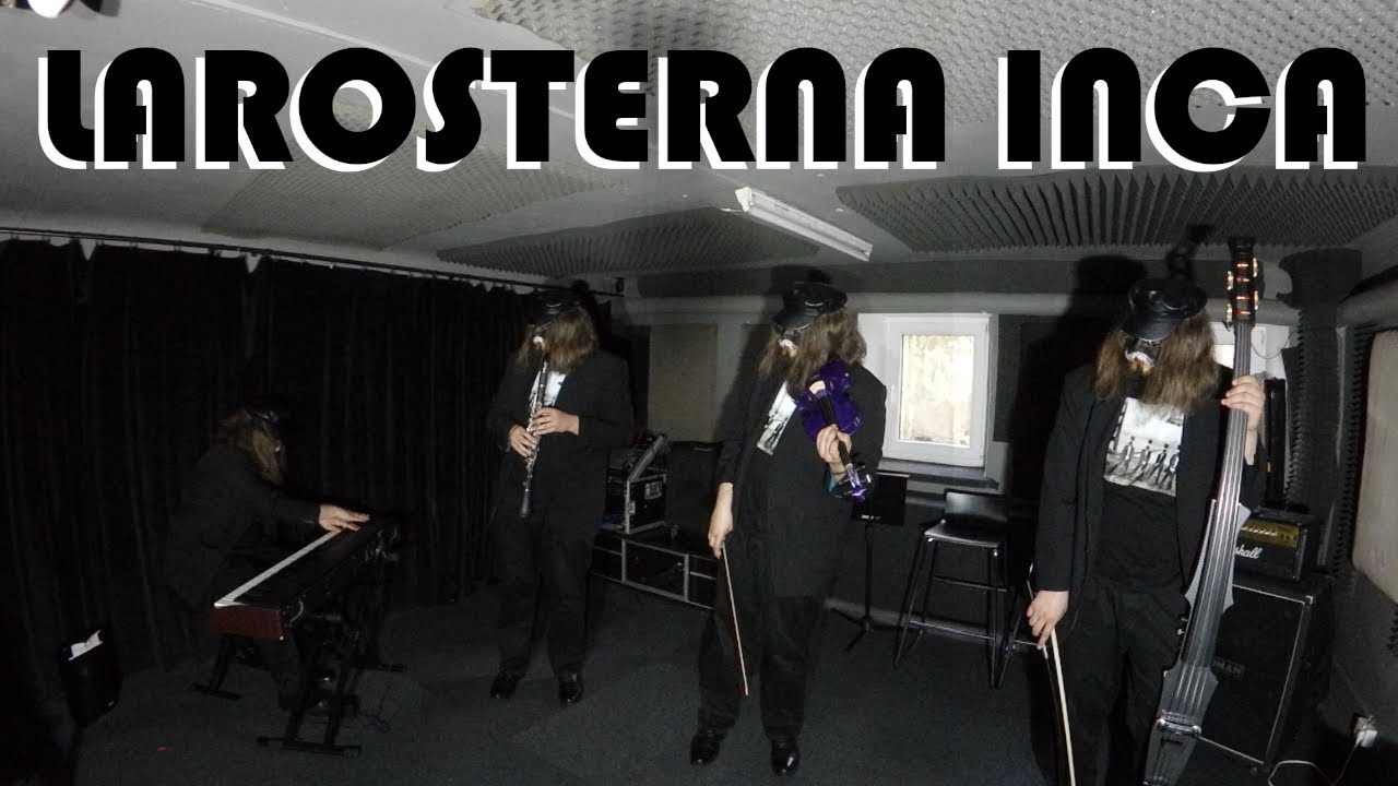 Mr. Harold - Larosterna inca (for a struggling quartet)