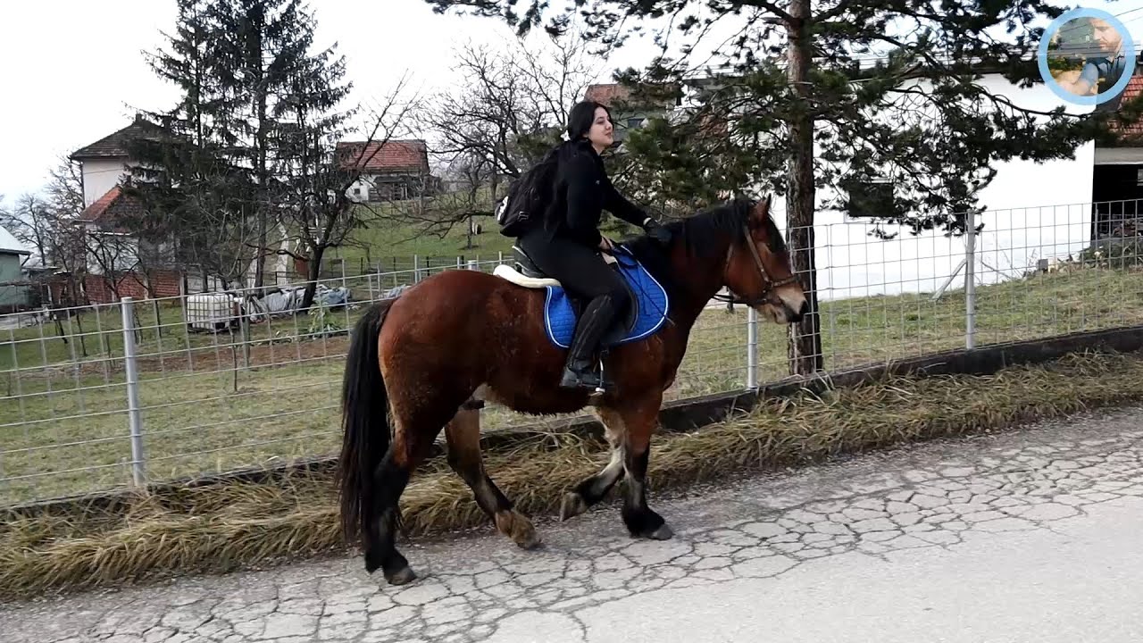 „Na konju idem kod nane, sa njim ću i na maturu“
