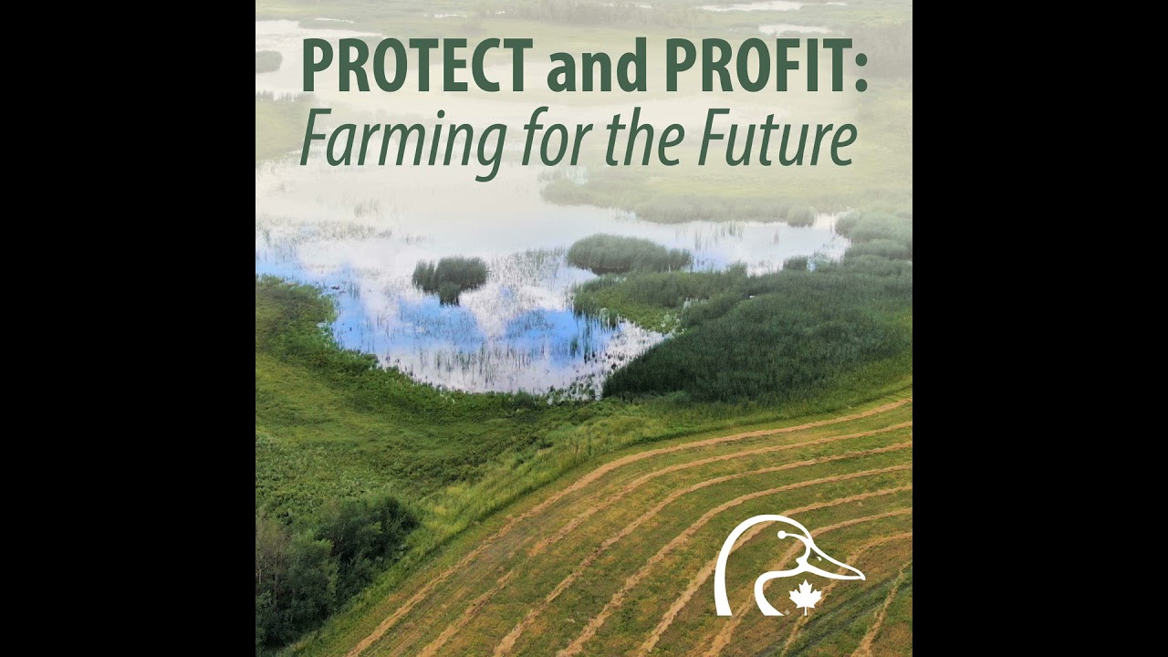 2025 03 March - Conservation Agreements
