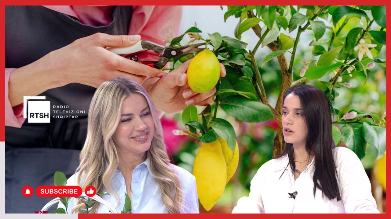 “Indeks i gjelbër”: Mbjellja dhe përkujdesja e bimës së limonit | Eja te ne