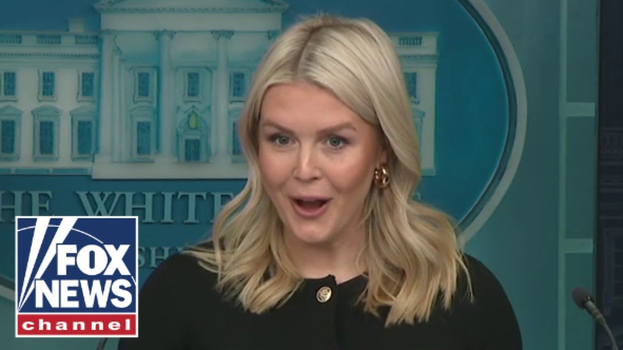 ‘YOU’RE KIDDING ME’: Leavitt asked by reporter for examples of Trump being called ‘racist’
