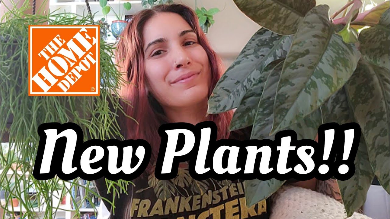 Home Depot Plant Shopping & Haul!! 🌿 found some cuties & had to take them home 😍
