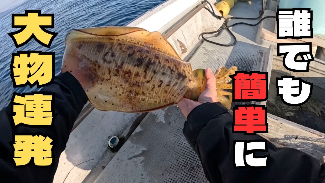 船アオリ仕掛け教えます　오징어 낚시
