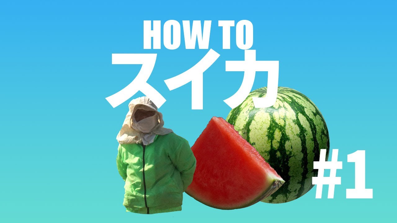 #1【野菜作り】スイカ編