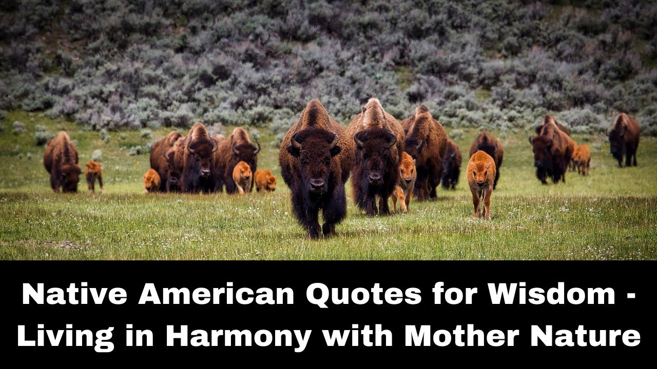 Native American Quotes of Wisdom for Life - How to Live in Harmony With Mother Nature - Sayings