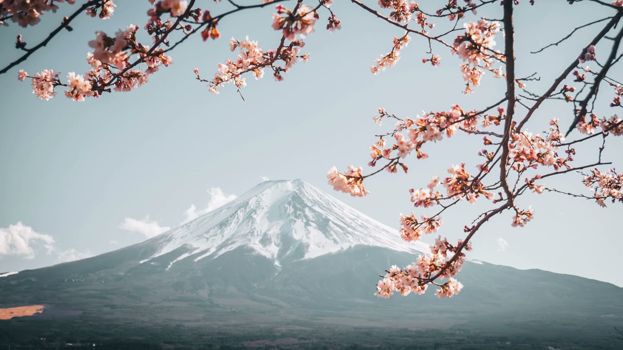 Mindful Zen Escape. Soothing Sounds for Your Mind.