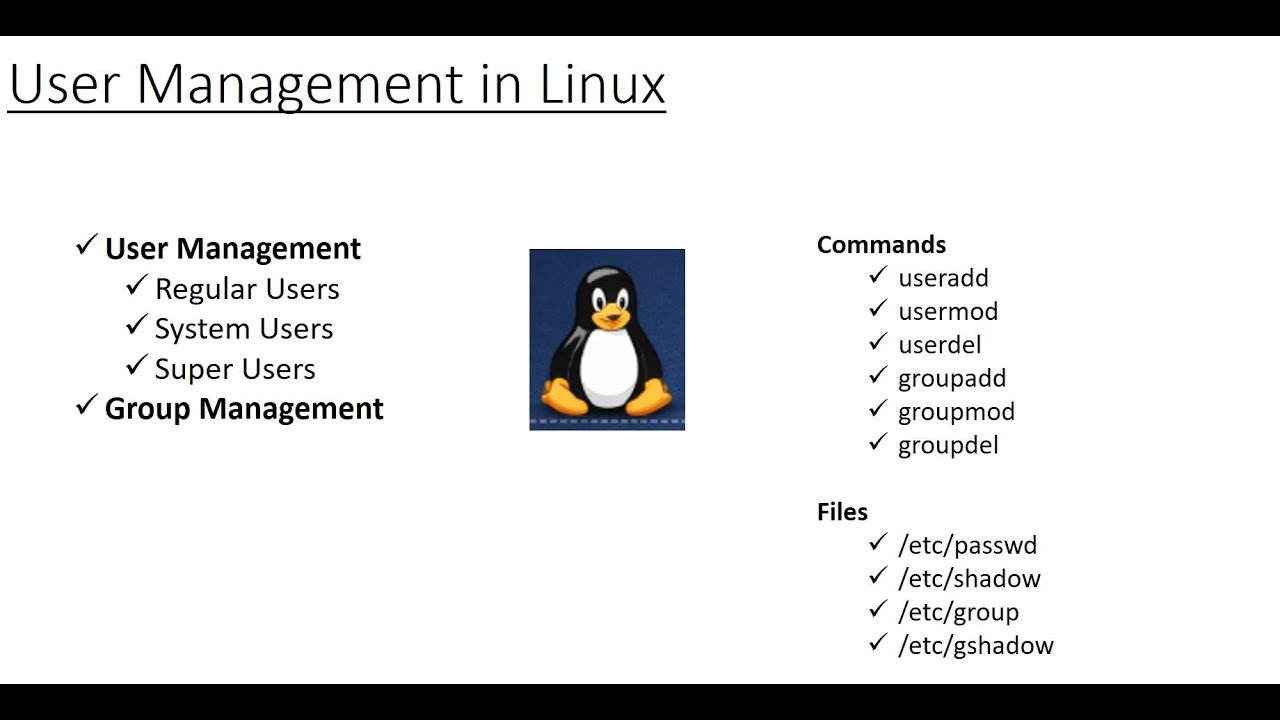 User and Groups in Linux