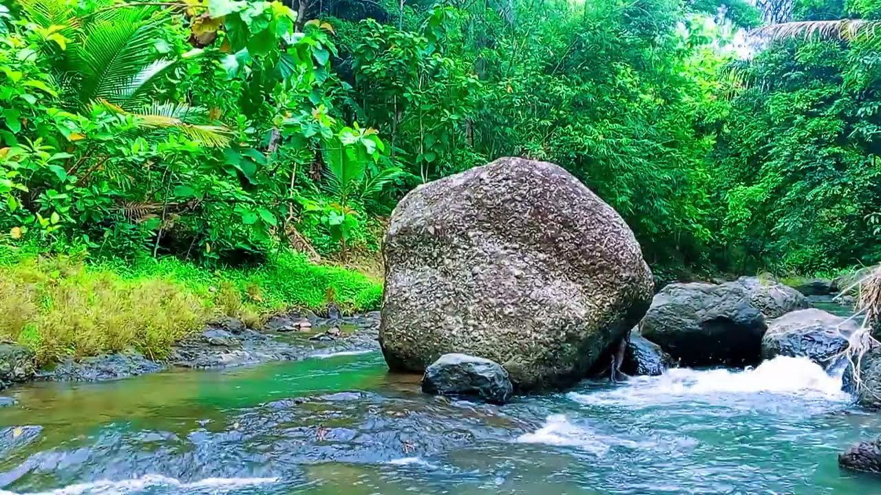 Best Nature Sounds for Relaxation, Gentle Flowing Water Sounds Soothing for Sleep