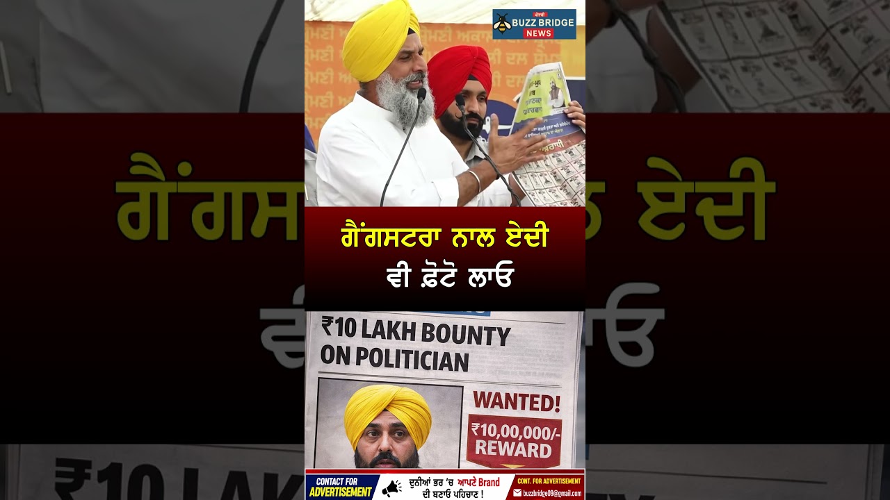 Bikram Singh Majithia Targets CM Bhagwant Mann | 