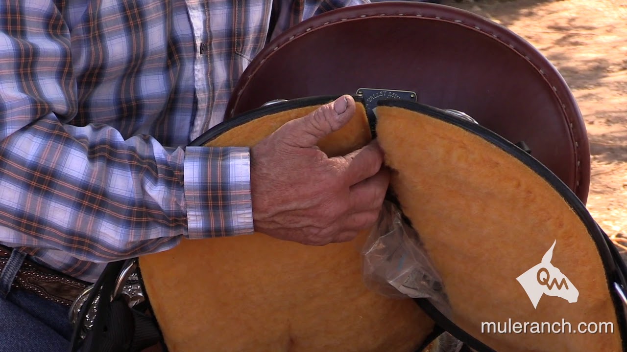 Saddle Fitting for Mules and Donkeys