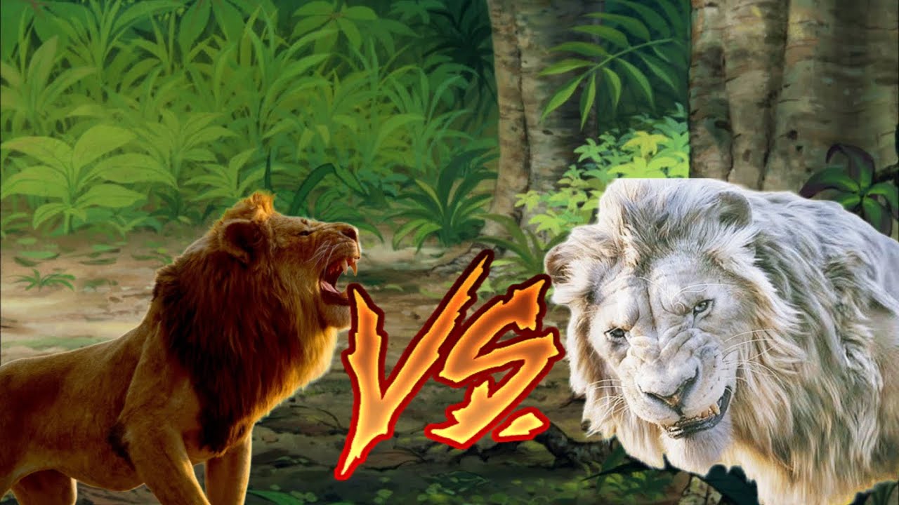 Simba vs kiros