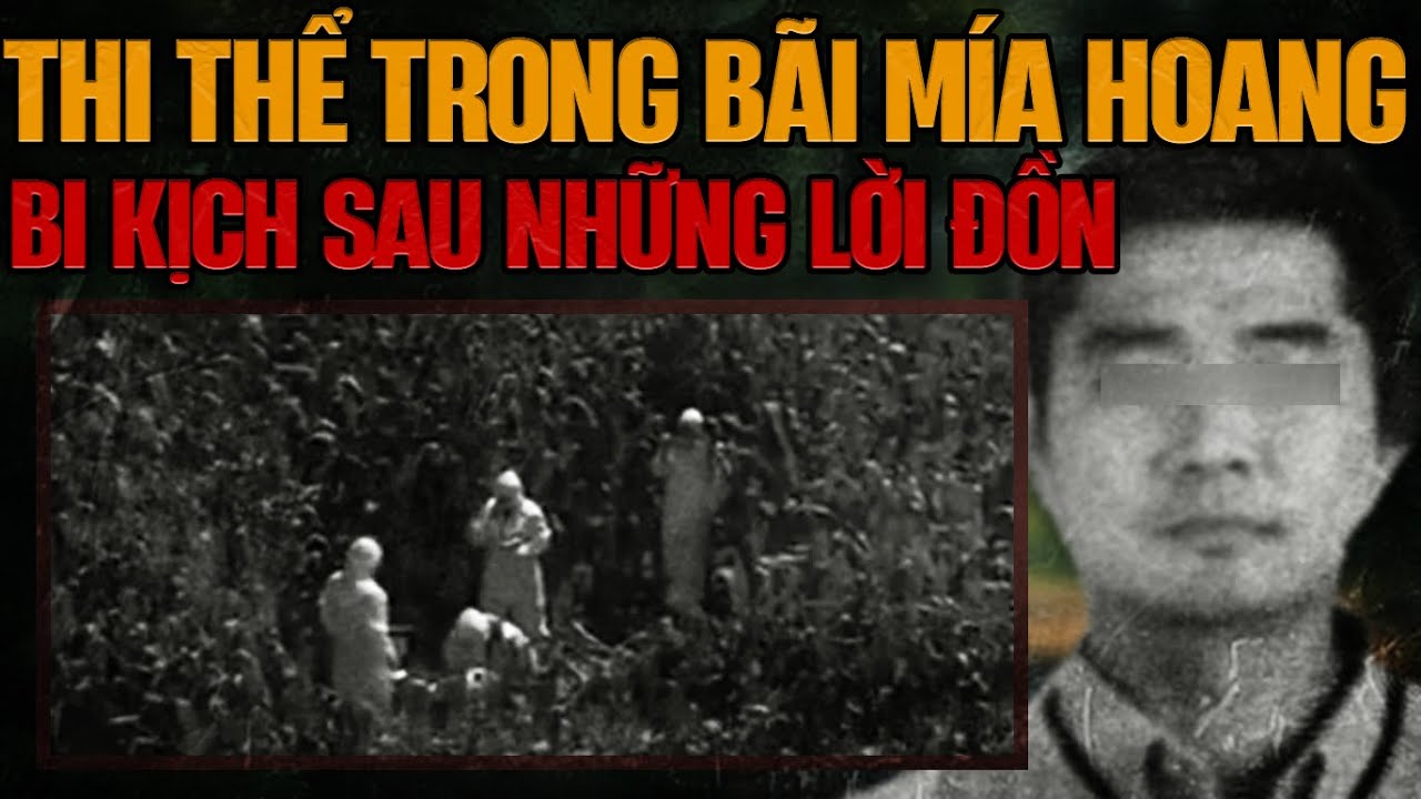 Kỳ Án Trung Quốc: Tội Ác Đáng Sợ Trong Bãi Mía Hoang