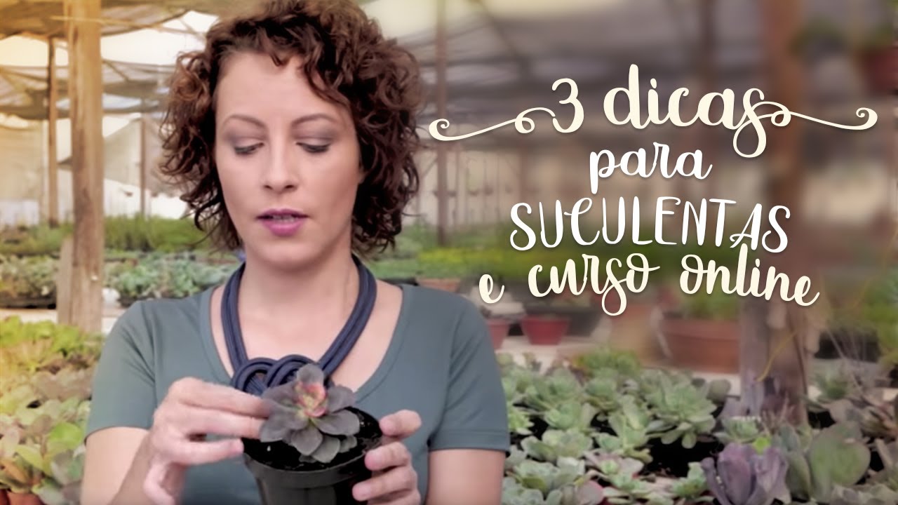 SUCULENTAS: 3 DICAS que ninguém conta (Curso Online)