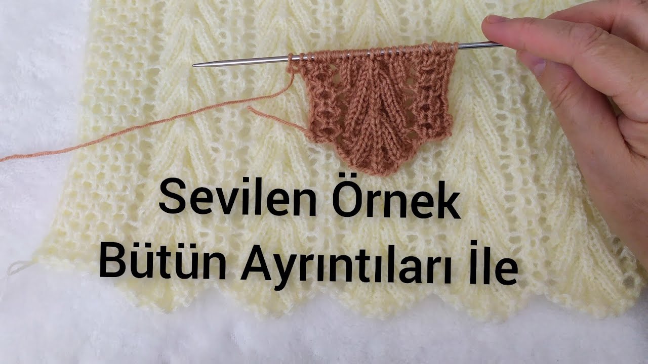 KAZ AYAĞI ÇAM DALI BÜTÜN AYRINTILARI VE SAYILARI #ikişişörgü #knitting #hırkayapımı #örgü #crochet 