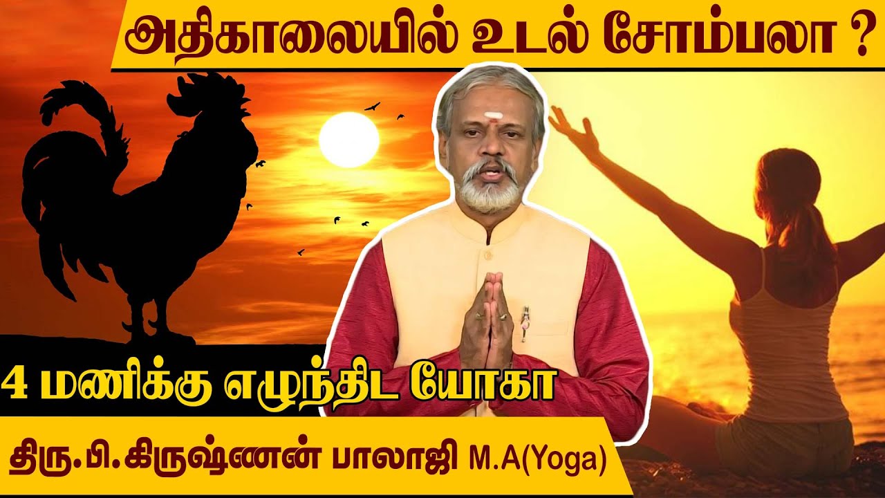 காலையில் எழ சோம்பேறியாக இருக்கிறதா ? உடல் சுறுசுறுப்பாக யோகா l Krishnan Balaji l @MEGA TV ​
