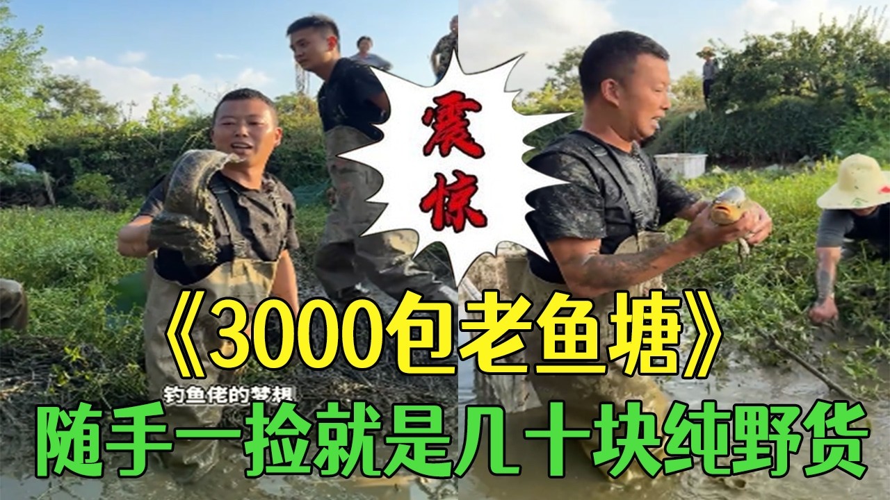 花 3000 塊包老魚塘，隨手壹撿就是幾十塊純野貨太值了 #小飛哥#三農 #護外#山洞 #包塘 #熱門