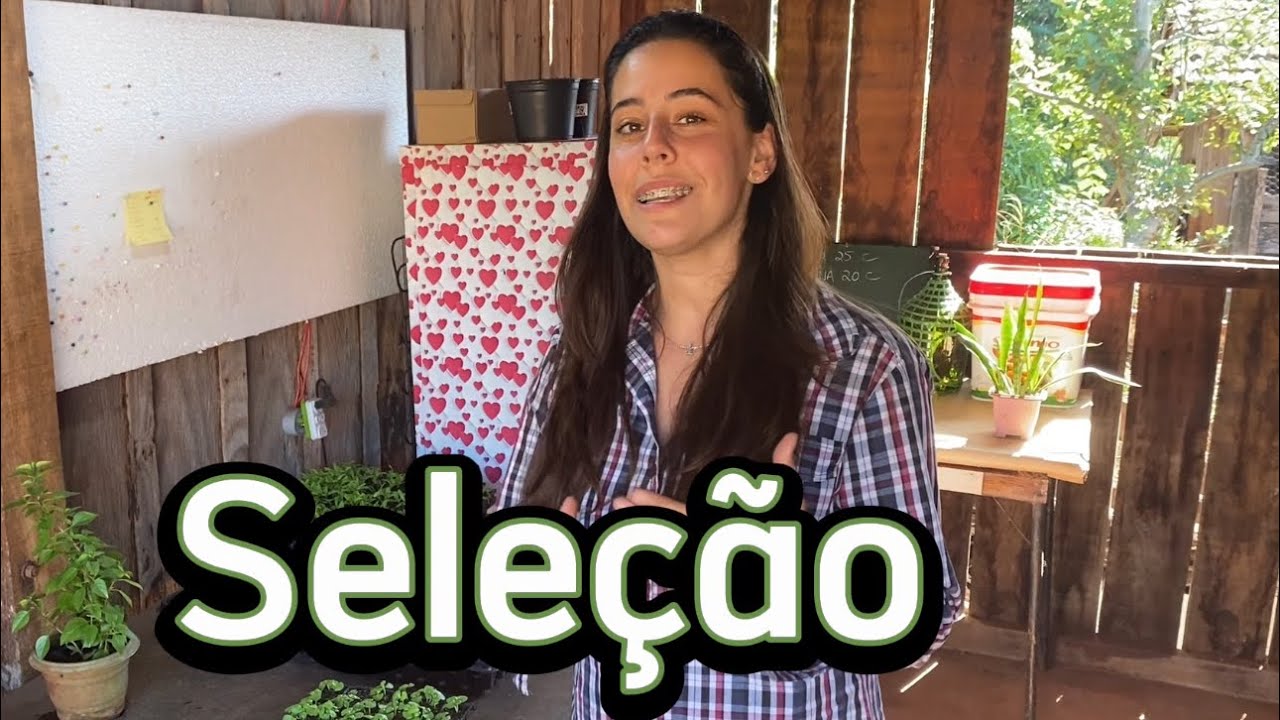 COMO FAZER O RALEIO DAS MUDINHAS