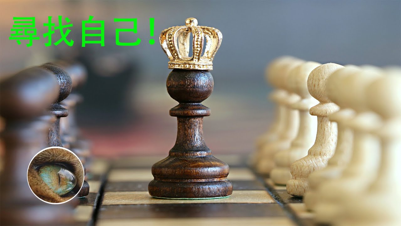 大部分人做不到的事情。。。| 未知先生WeiZhi XianSheng