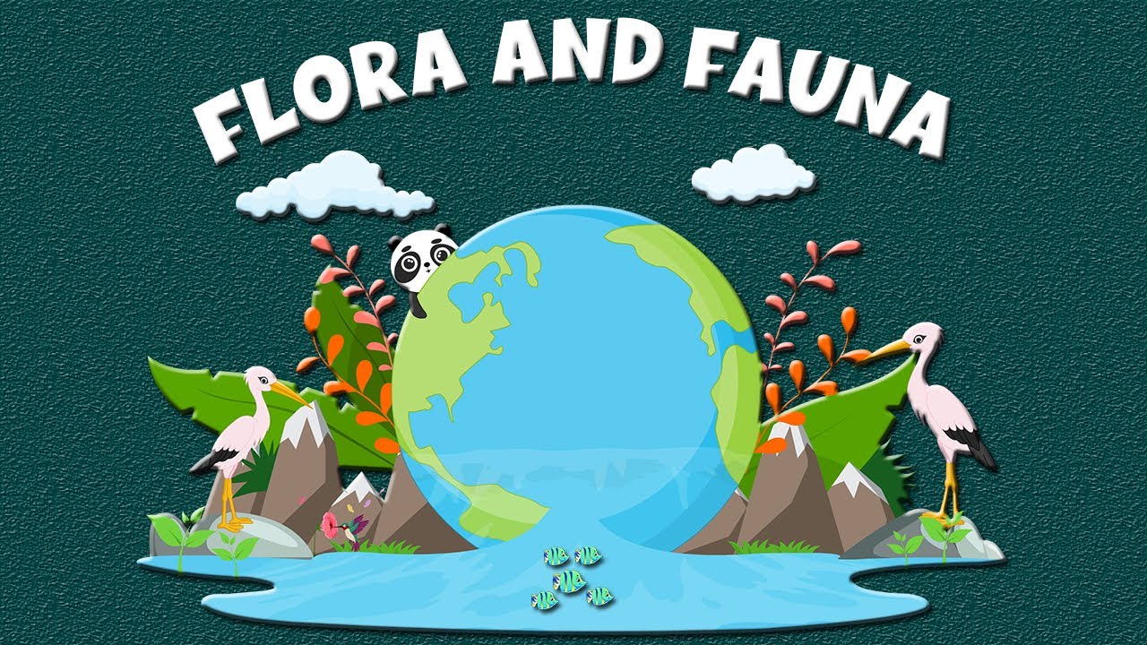Flora & Fauna: Definition, Importance, Types & Examples - Learning Junction