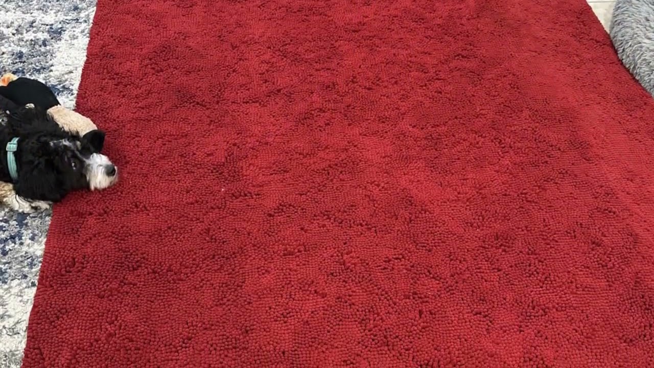 10ft Long Muddy Mat Runner Review! 🐾💦 Best for Hallways