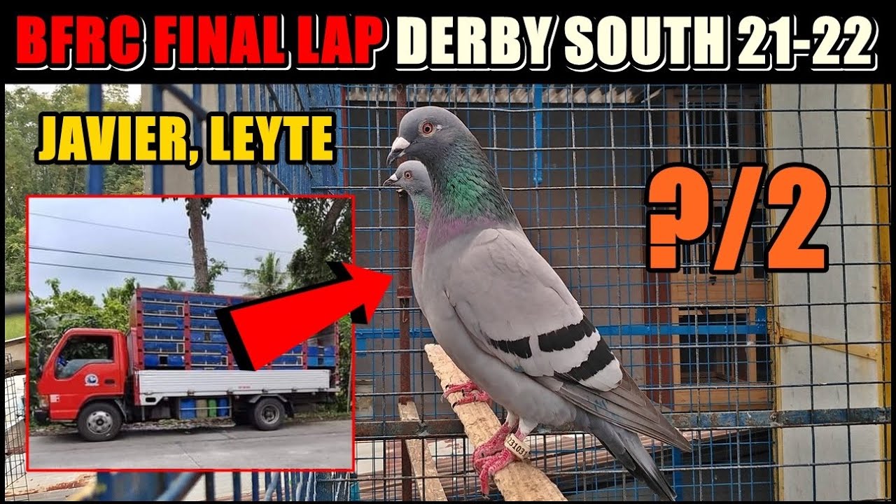 FINAL LAP DERBY JAVIER, LEYTE SOUTH 21-22