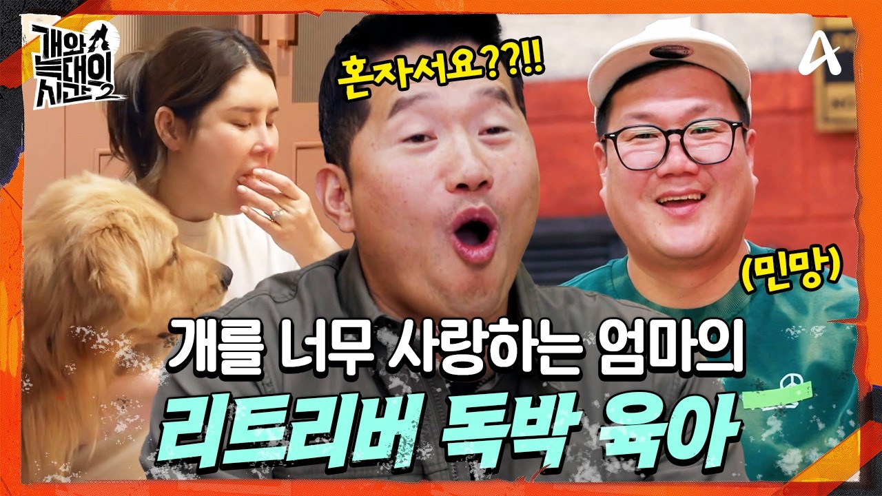 [#개와늑대의시간2] 데려온 건 아빠, 키우는 건 엄마?!🤯 버거운 리트리버 독박 육아❤️‍🩹 | 개와 늑대의 시간 시즌2 6회