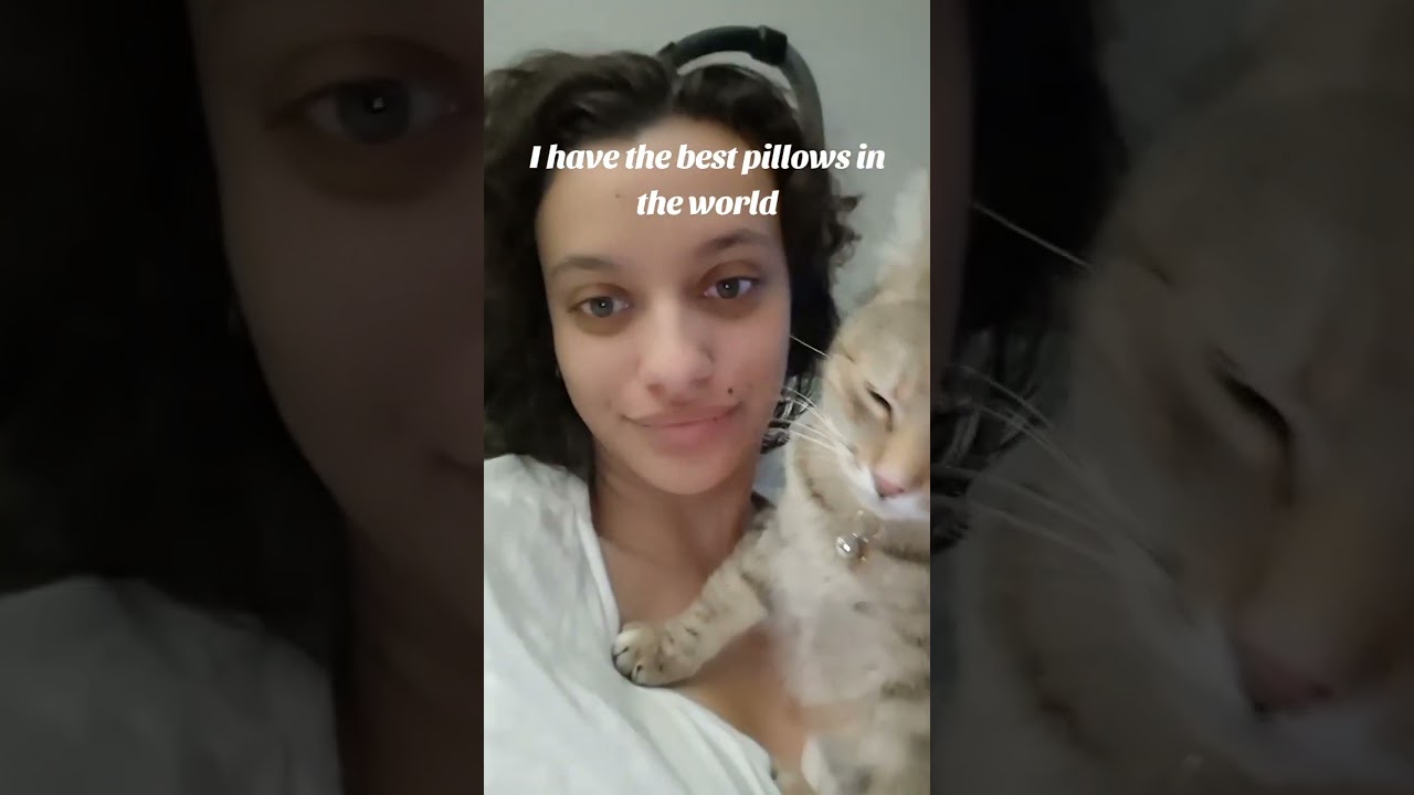 Best pillows in the world? 