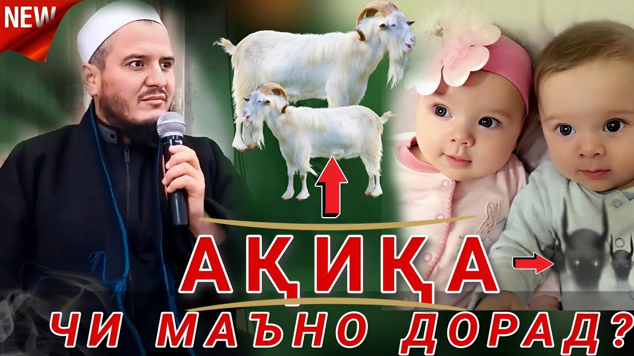 ДОМУЛЛО АКБАРЧОН АҚИҚА АМРИ МАЪРУФ 2025 КИССАИ ИСЛОМИ 2025. DOMULLO ACBARJON.