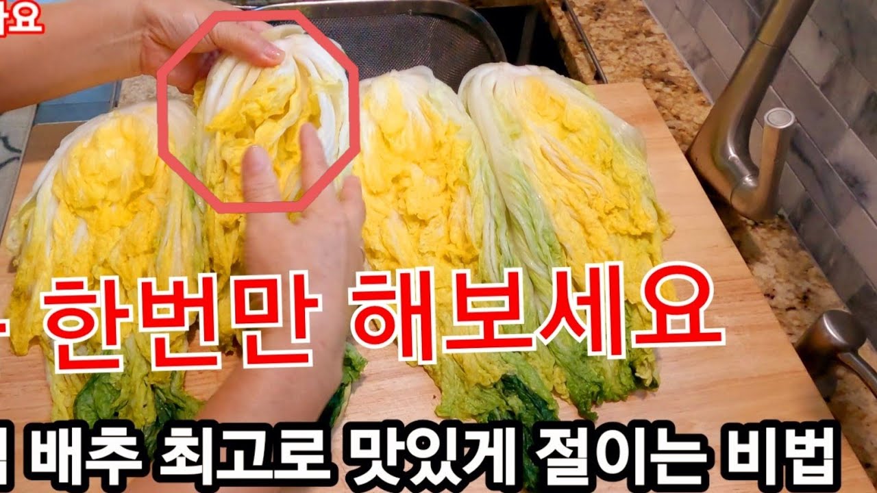 👩‍🍳[김장배추 최고로 맛있게 절이는  새로운 비법] 다 먹을때 까지 아삭하고 시원한 맛을 내주는 절임 방법 또 다른  꿀팁도. 있어요,10분만 시간을 내셔서 꼭 받아 가세요,,,