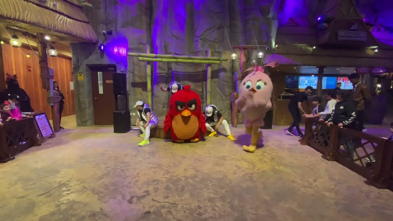 Angry Birds World Live Show 