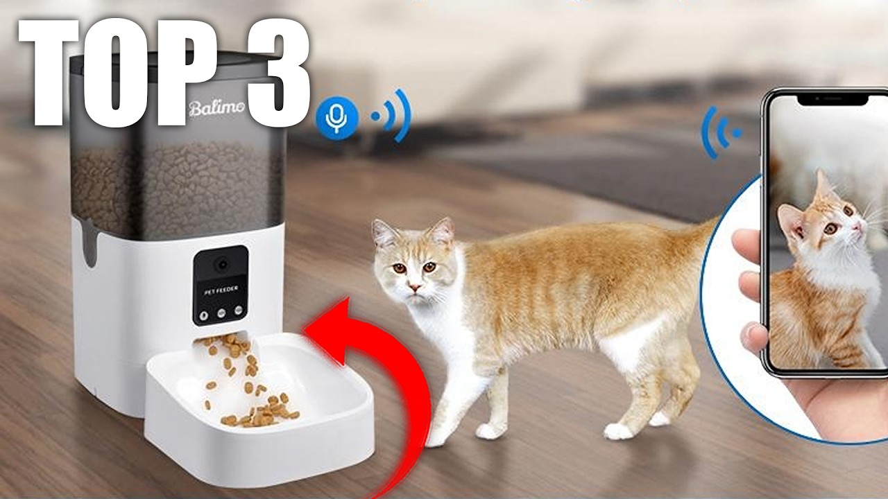 Top 3 des Meilleurs Distributeur de Croquettes Automatique avec Caméra !