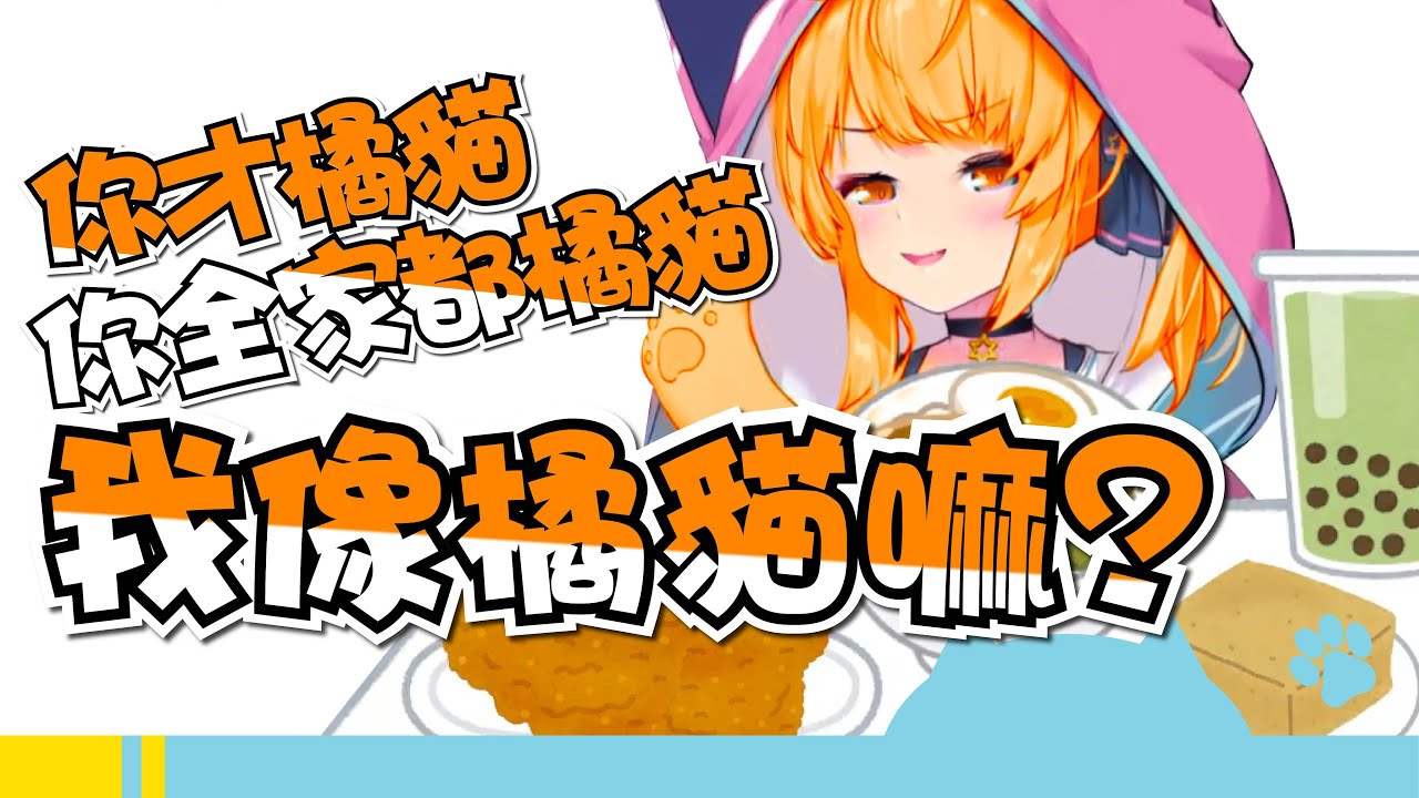 【懶貓子RUMI】當RUMI終於發現橘貓在台灣的意思，即使胖我也很可愛!