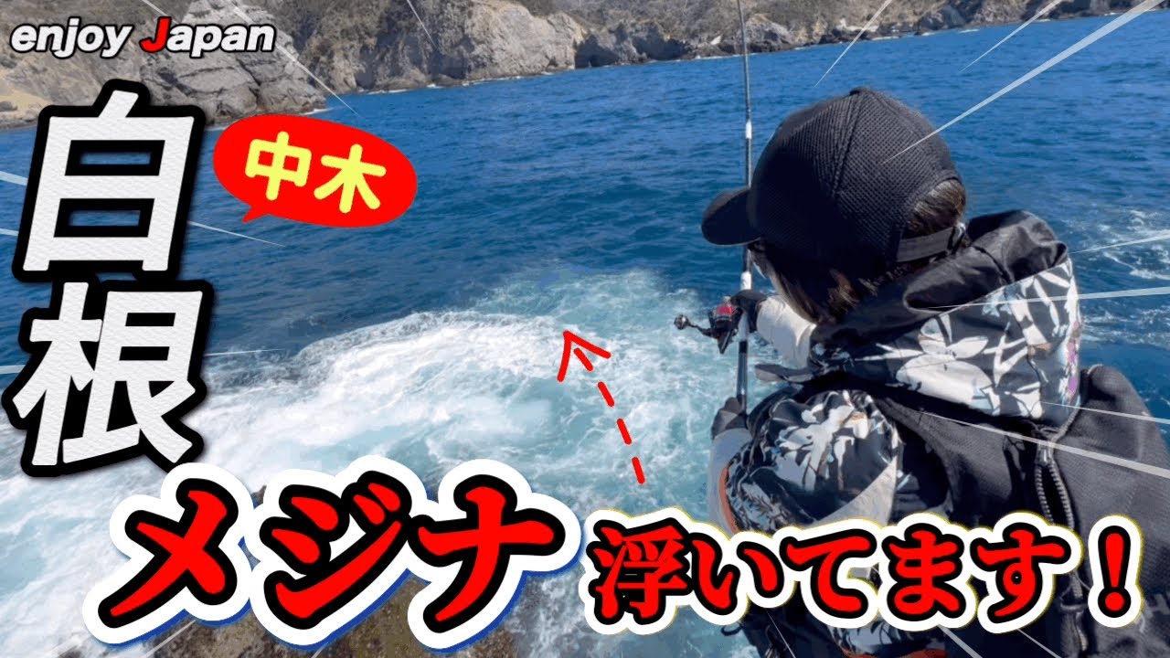 【中木 白根】南伊豆の一級磯がまさかの貸切り状態！一級磯の一級ポイントでメジナを狙ってみた。最後に花粉症対策もやってるので見てね！