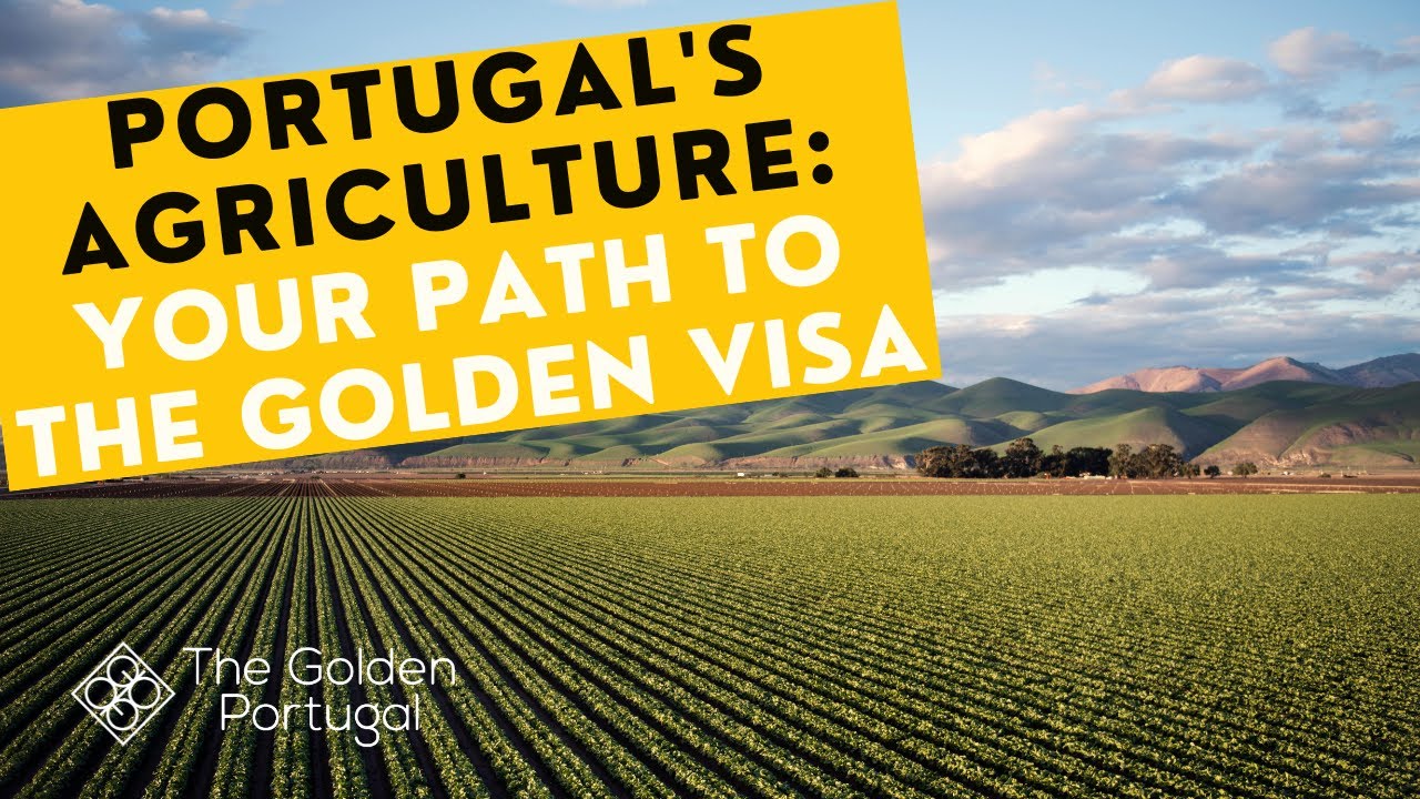 Golden Visa: Why Invest in Portugal’s Agriculture?