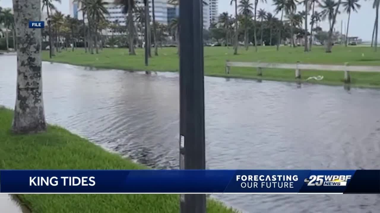 Forecasting Our Future: 'Sunny-day' flooding becoming more common