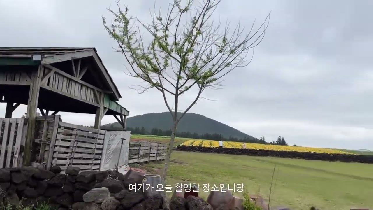 브이로그