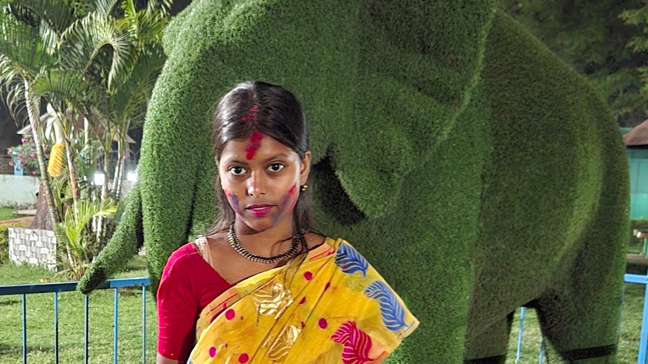 ঝুমা সোনালি সংসার is live