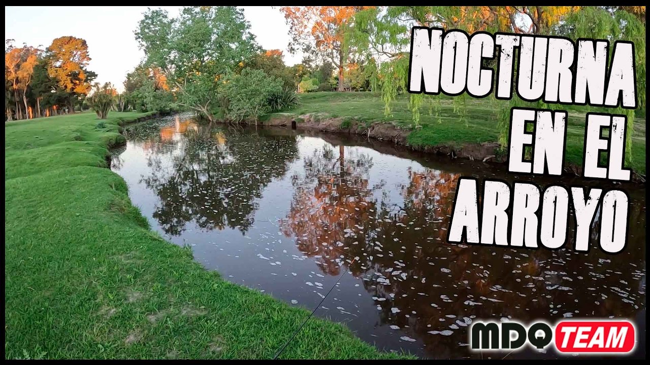 El ARROYO SO&Ntilde;ADOcon buena pesca y variedad de PECES