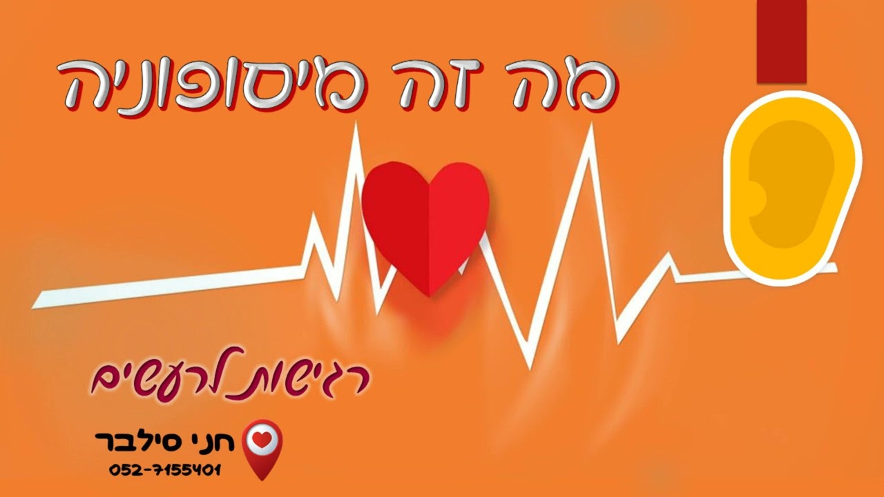 מה זה מיסופוניה, רגישות לרעשים | חני סילבר מומחית להעצמה אישית טיפולית 0527155401
