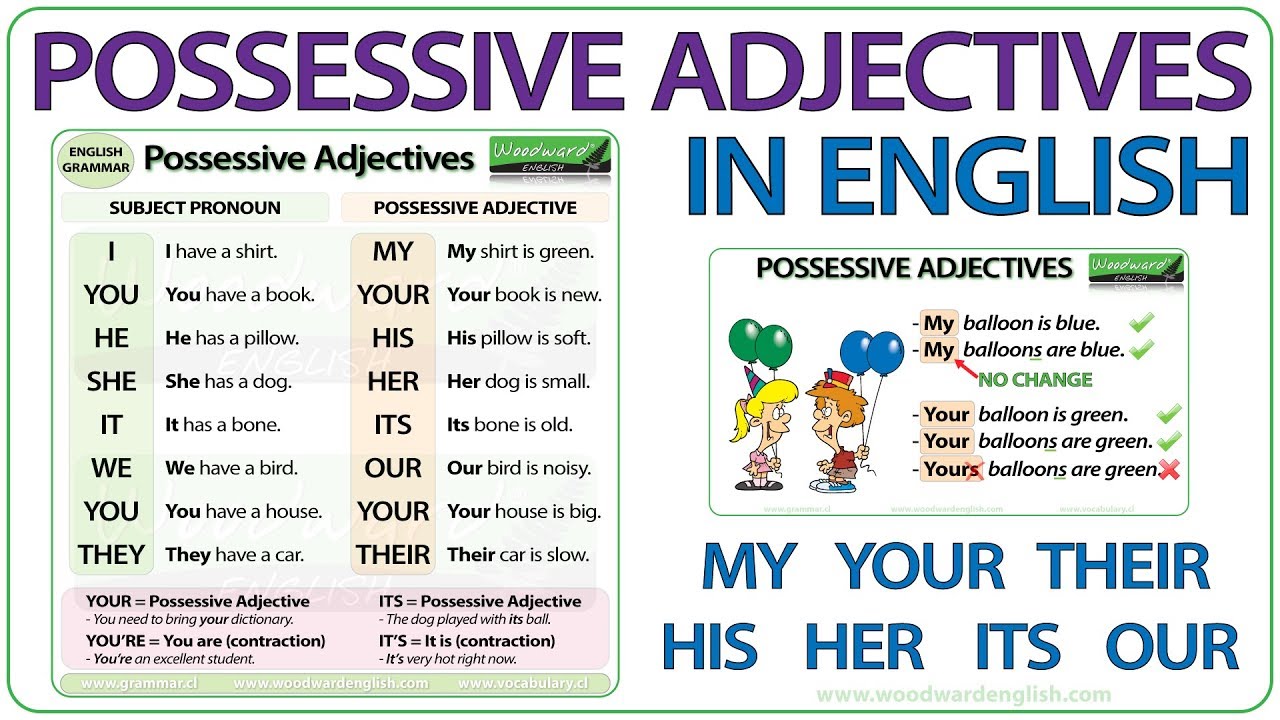 Possessive Adjectives in English | My, Your, His, Her, Its, Our, Your, Their | Learn English Grammar