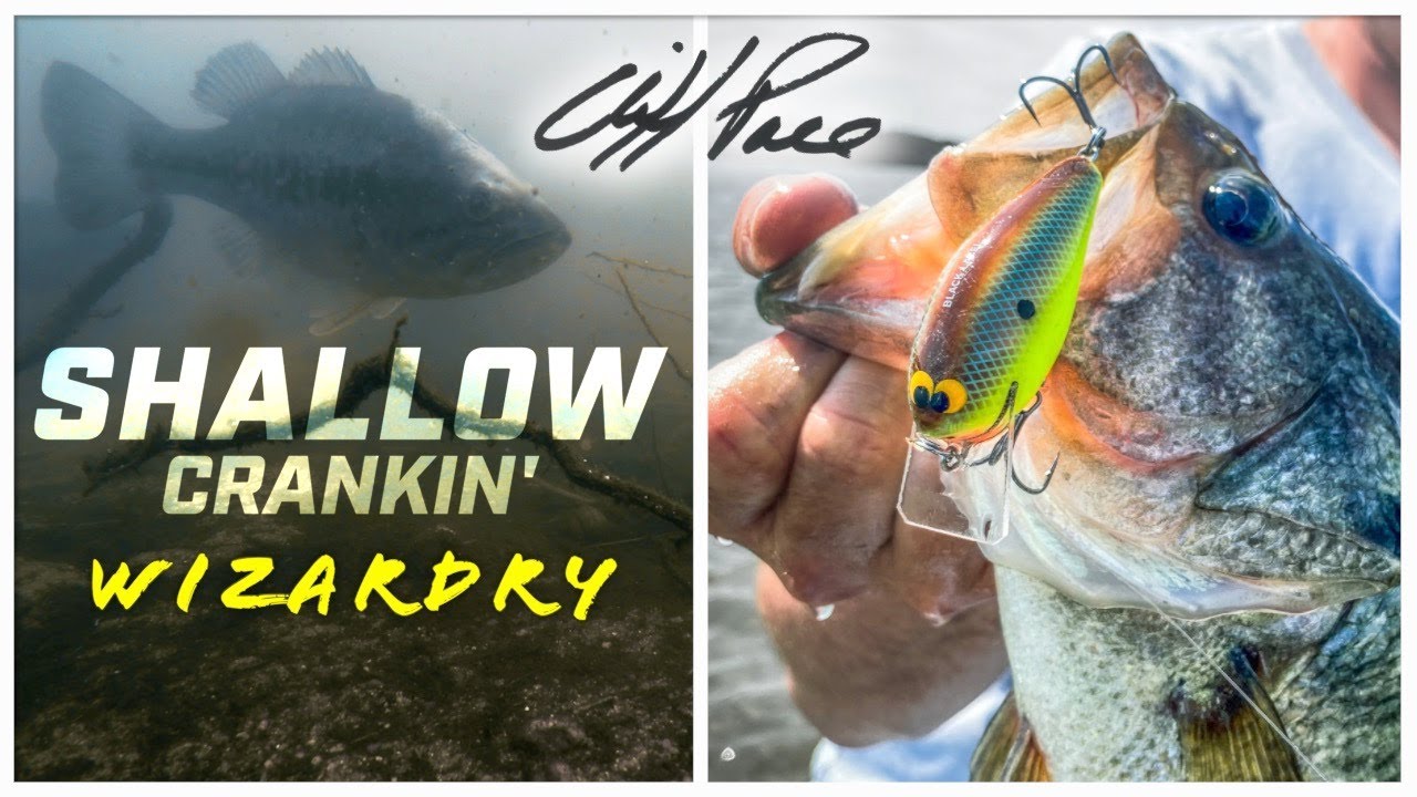 Catch More Bass with Shallow Crankbaits | Cliff Pace Hammerfest‼️