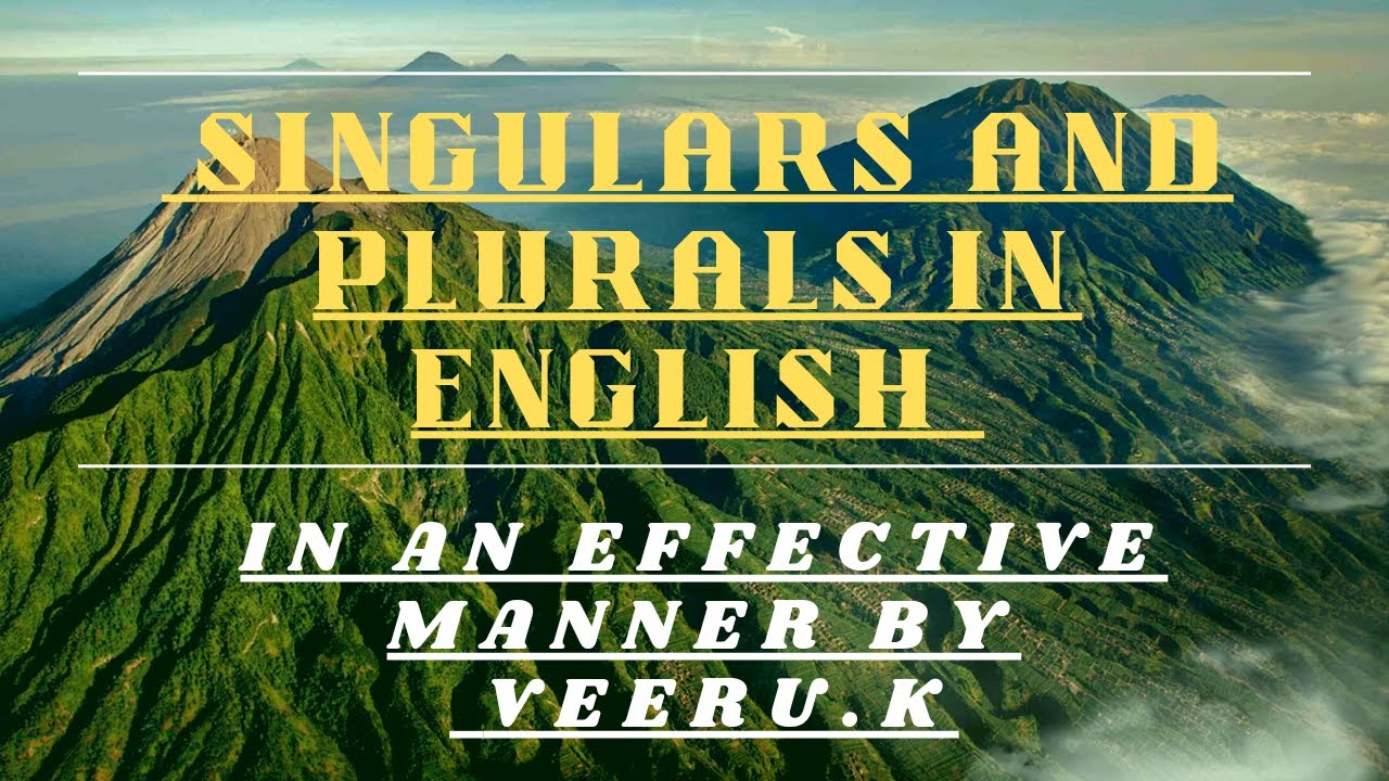 SINGULARS AND PLURALS - English Grammar by Veeru.K